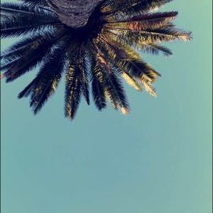 Meet your Posher, Mia